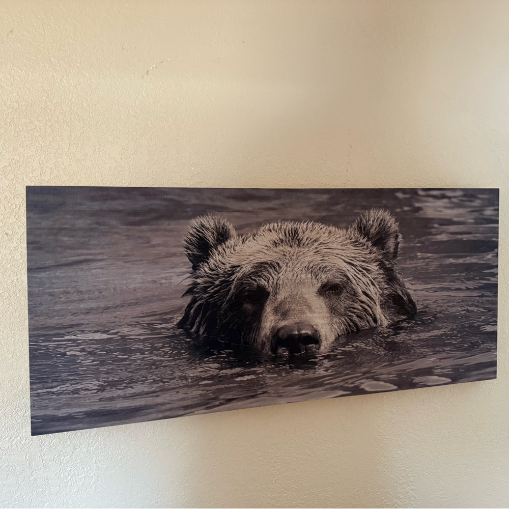 Bear wall art